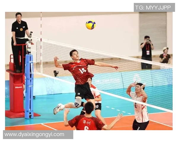 深圳排球队的节奏与技战术深度剖析探秘排球运动的魅力与挑战