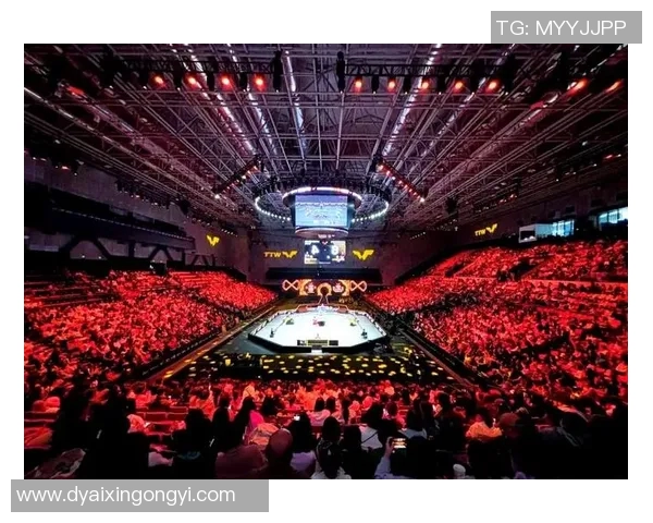 北京乒乓球队在钻石联赛中的辉煌历程与突破成就全景回顾 北京乒乓球队在钻石联赛中的辉煌历程与突破成就全景回顾