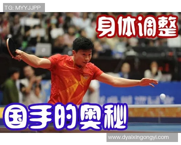 南京乒乓球队进攻策略解析与深度剖析乒乓球技术的奥秘与魅力