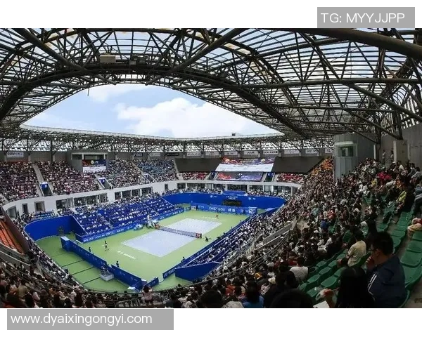 成都网球队总决赛逆袭之旅揭秘团结拼搏的力量与梦想的实现