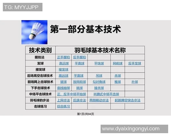 杭州羽毛球队总决赛战术分析与表现评估探讨 杭州羽毛球队总决赛战术分析与表现评估探讨